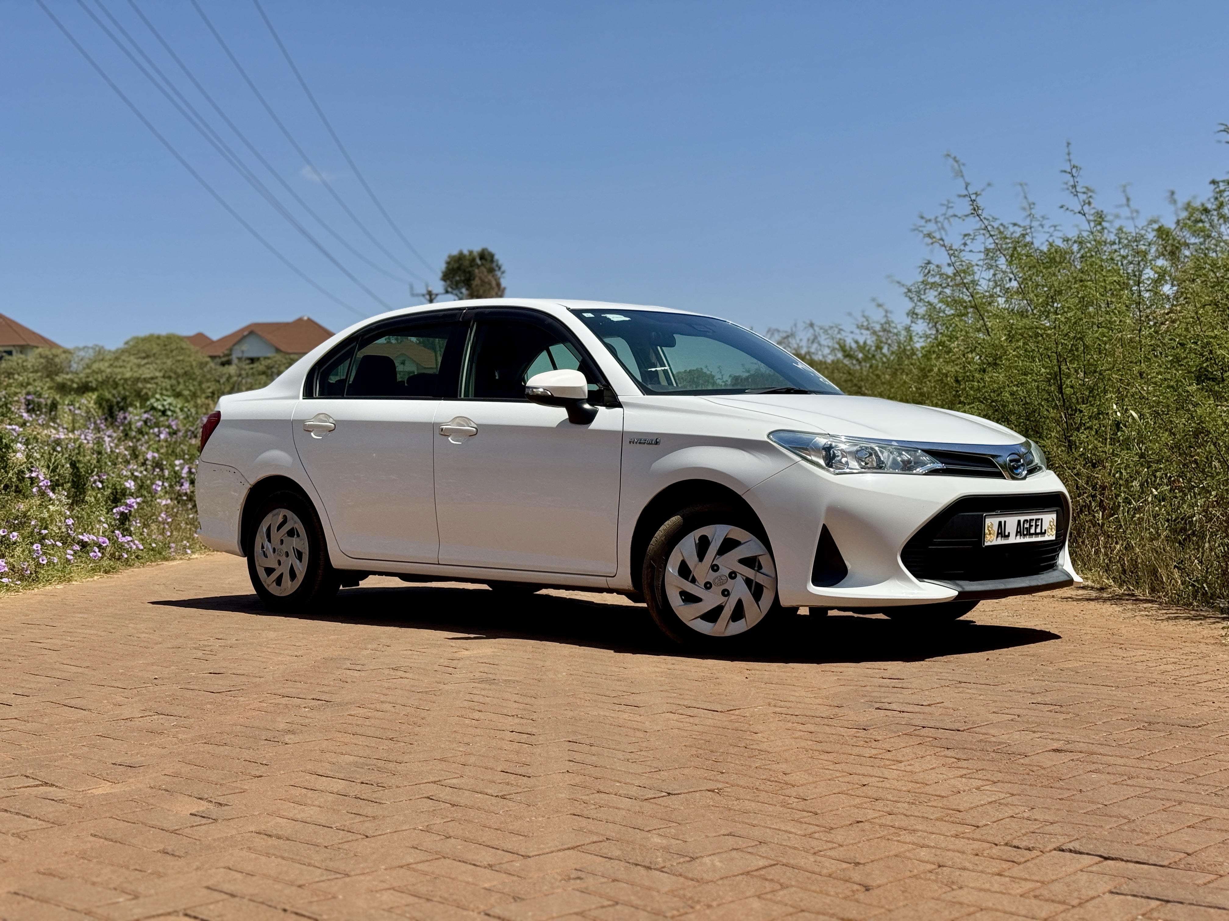 2019 Toyota AXIO AXIO Hybrid for Sale in Kenya | CarDuka