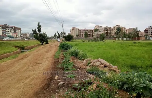 Prime Plot, 40x80, next to Thika Highway - 0.073 Acre Plot - Image 3