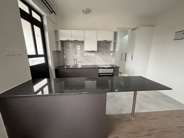 One Bedroom For Rent Along Naivasha Road - Image 9