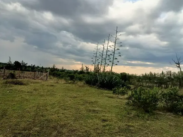 Fairview Gardens Nanyuki - 0.125 Acre Plot - Image 5