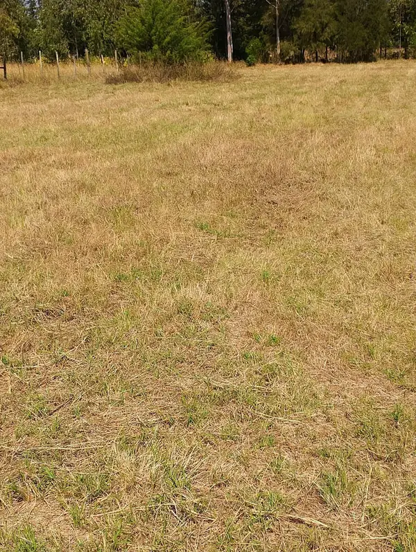 Fairview Gardens Nanyuki - 0.125 Acre Plot - Image 4
