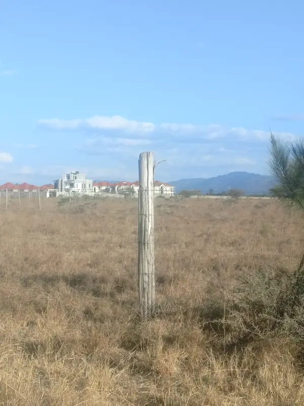 Kantafu Plots for Sale - 0.125 Acre Plot - Image 2