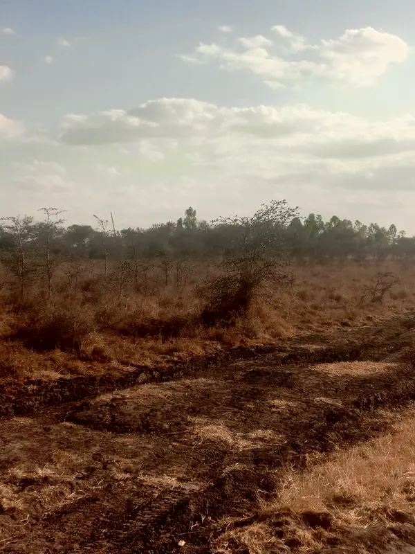 Kantafu Plots for Sale - 0.125 Acre Plot - Image 4