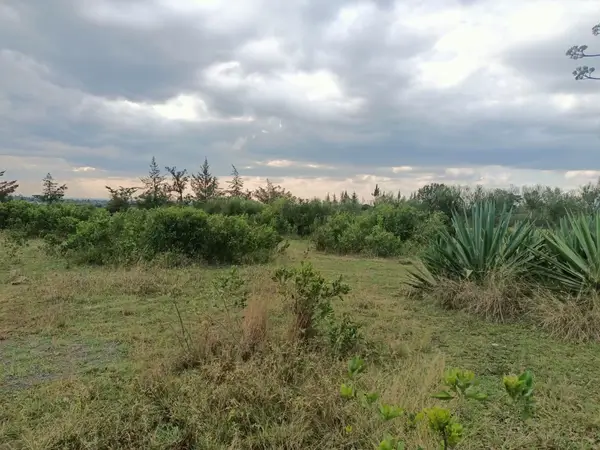 Fairview Gardens Nanyuki - 0.125 Acre Plot - Image 3