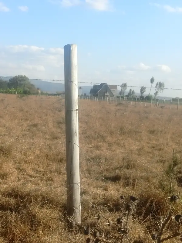 Kantafu Plots for Sale - 0.125 Acre Plot