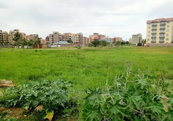 Prime Plot, 40x80, next to Thika Highway - 0.073 Acre Plot - Image 2