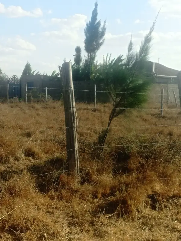 Kantafu Plots for Sale - 0.125 Acre Plot - Image 5