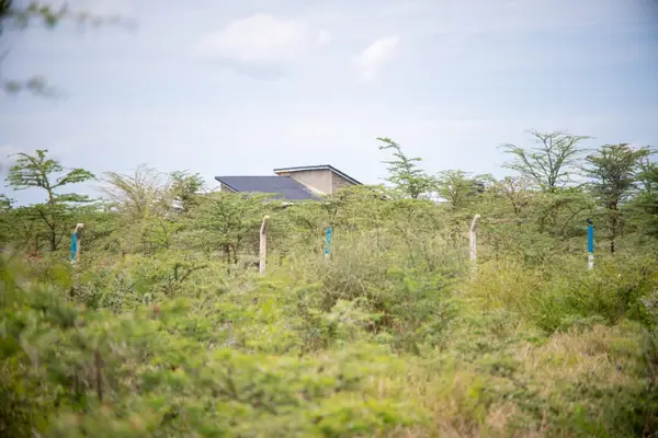Fairview Gardens Nanyuki - 0.125 Acre Plot - Image 8