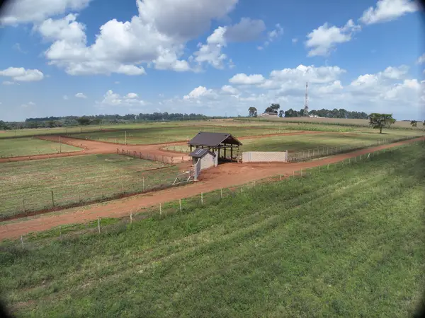 Forest Hill Estate Kitale — Plot 1 - Image 5