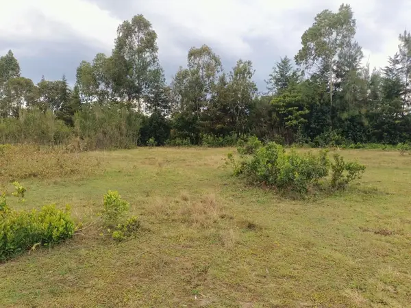 Fairview Gardens Nanyuki - 0.125 Acre Plot - Image 6