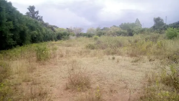 Fairview Gardens Nanyuki - 0.125 Acre Plot - Image 7