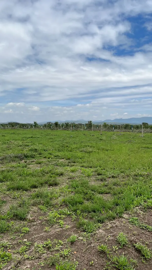 Fairview Gardens Nanyuki - 0.125 Acre Plot - Image 12