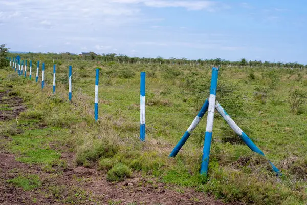 Fairview Gardens Nanyuki - 0.125 Acre Plot - Image 11