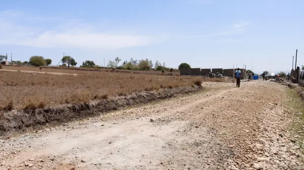 Hilma Estate Malaa - 1 Acre Plot - Image 5