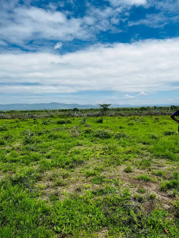 Fairview Gardens Nanyuki - 0.125 Acre Plot - Image 9