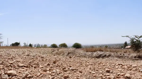 Hilma Estate Malaa - 1 Acre Plot - Image 2