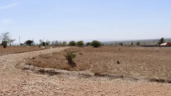 Hilma Estate Malaa - 1 Acre Plot - Image 3