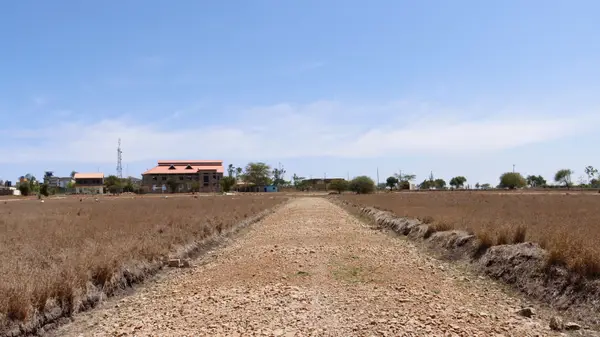 Hilma Estate Malaa - 1 Acre Plot - Image 4