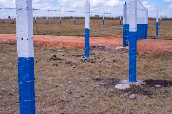 Konza Plots For Sale - 0.125 Acre Plot - Image 4