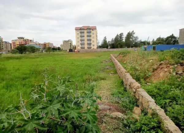 Prime Plot, 40x80, next to Thika Highway - 0.073 Acre Plot